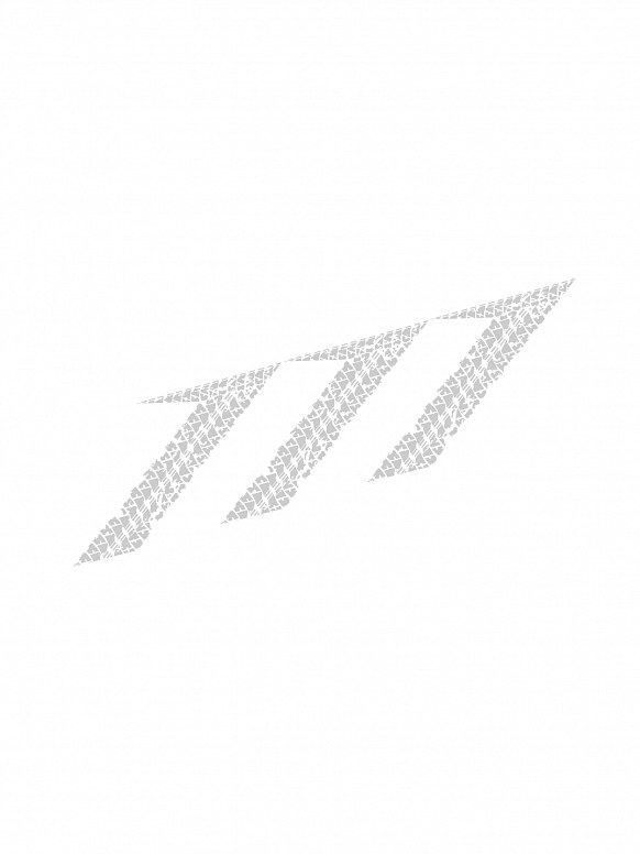 Logo-pneu-111.jpg